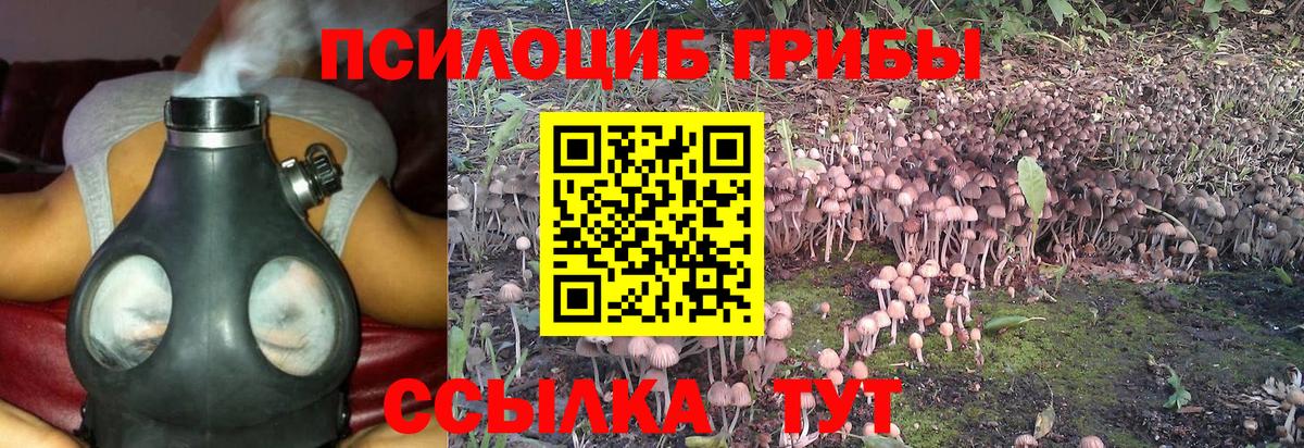 Галлюциногенные грибы MAGIC MUSHROOMS  Вход с VPN  Красный Сулин 