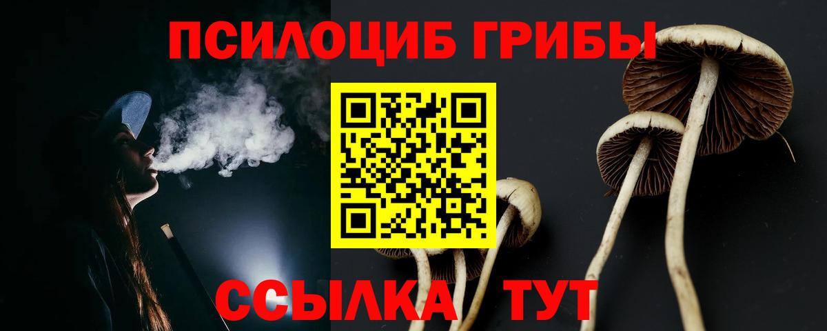 Галлюциногенные грибы Cubensis Красный Сулин